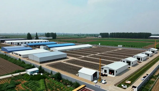 提升土建施工效率的关键工艺优化策略